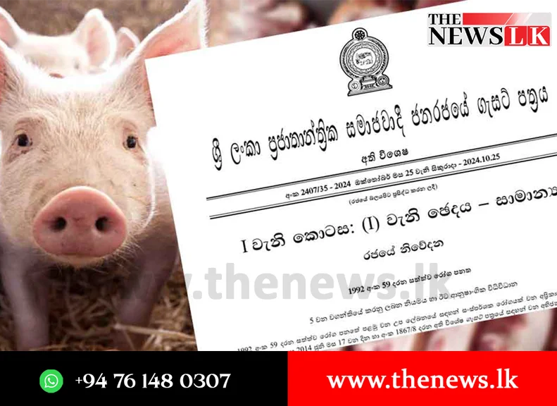 භයානක සූකර උණට තිත තියන්න ගෙනා අති විශේෂ ගැසට් නිවේදනය