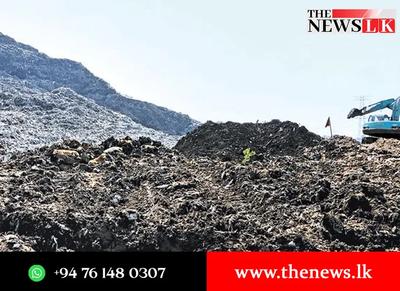 දේශීය වෙළෙඳපොළේ බිත්තර මිල සාක්කුවට සහනයක් ගෙනෙයිද ?