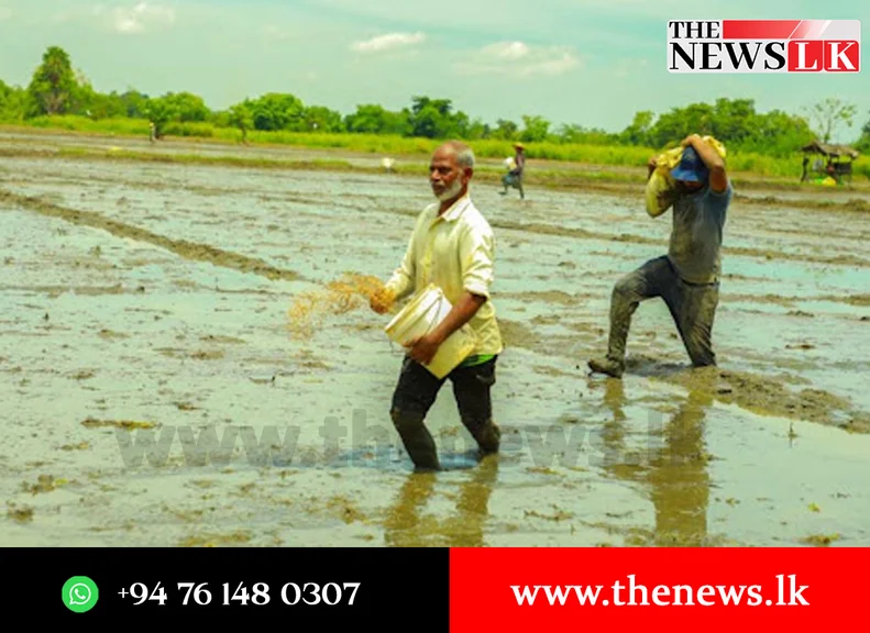 මහ කන්නයේ ගොවීන්ට බිලියන 05ක පොහොර